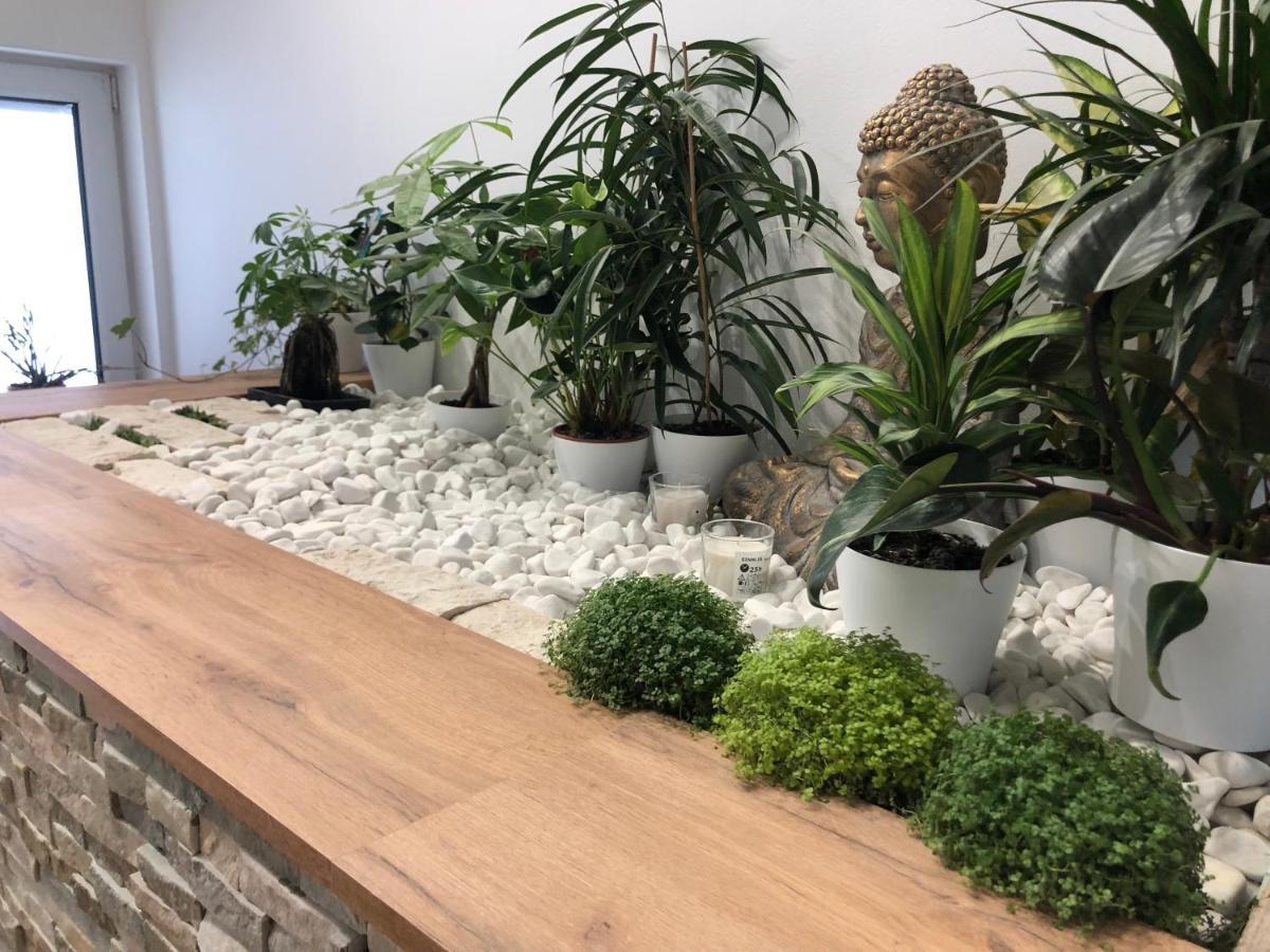 Apartament Garden House Kranj Zewnętrze zdjęcie