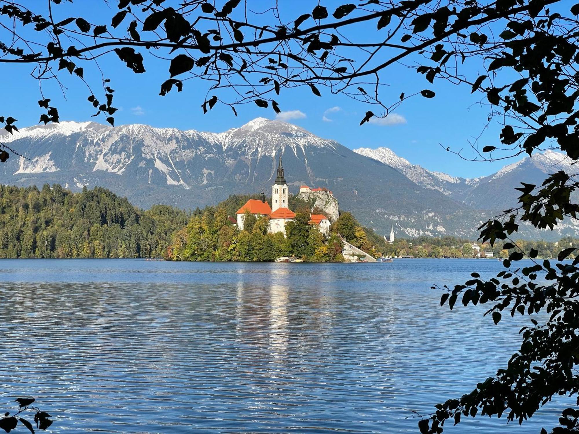Apartament Garden House Kranj Zewnętrze zdjęcie